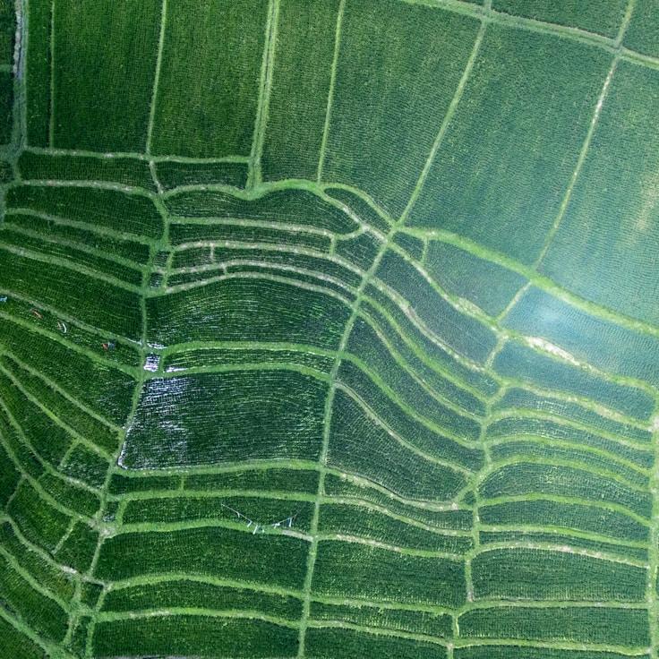 Family terraces and cafés for calm evenings in Rome